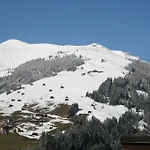 Erlzette
